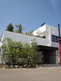 01.jpg