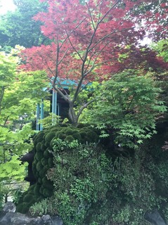 2017 `FV[t[V[_170524_0003.jpg
