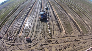 DJI00174.jpg