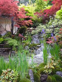 DSC04673.JPG