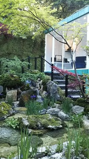 IMG_1269.JPG